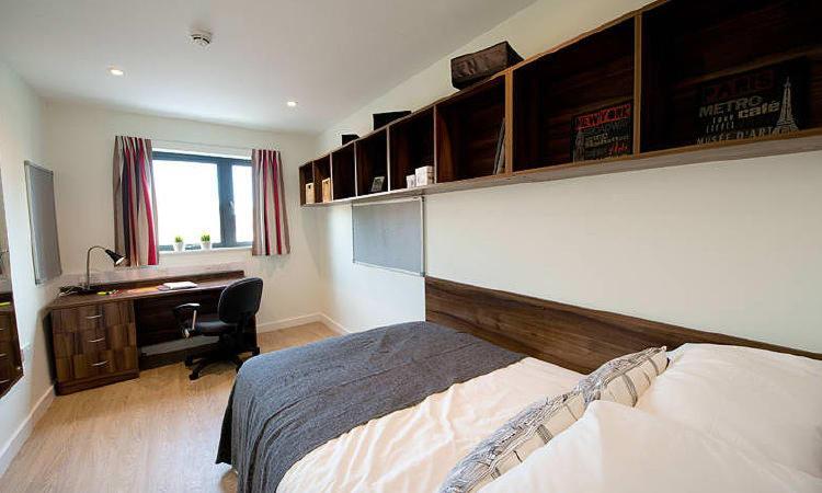 Zeni 3 Bed Apartment In Central Ексетер Екстер'єр фото